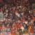 Preg�n Carnaval 2009: Carlos Eugenio Garc�a