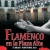 Flamenco en la Plaza Alta
