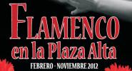 Flamenco en la Plaza Alta
