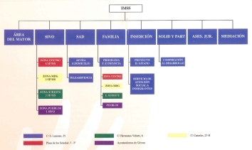 Organigrama del IMSS