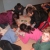 [3 y 4 Marzo 2010] Trabajos pl�stica con motivo del D�a Internacional de la Mujer. Museo Luis de Morales