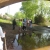 09/04/2010 Marcha guiada a B�toa
