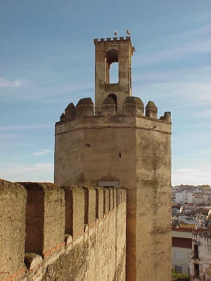 Torre de Espantaperros desde la Alcazaba