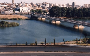 Puente de la Autonoma