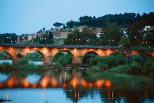 Puente de Palmas