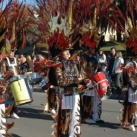 Comparsas Carnaval 2007