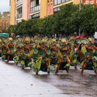 Comparsas Carnaval 2008