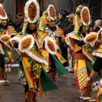 Comparsas Carnaval 2008