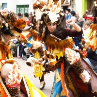 Comparsas Carnaval 2008