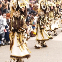 Comparsas Carnaval 2008