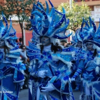 Desfile de artefactos, comparsas y entierro de la sardina