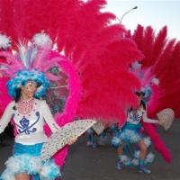 Desfile de artefactos, comparsas y entierro de la sardina