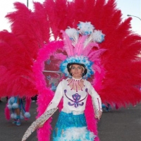 Desfile de artefactos, comparsas y entierro de la sardina