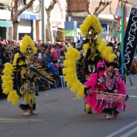 Desfile de artefactos, comparsas y entierro de la sardina