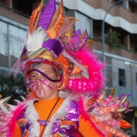 Desfile de artefactos, comparsas y entierro de la sardina