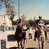 Paseo de la Florida