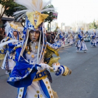 Desfile de Comparsas 2012 - 14