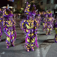 Desfile de Comparsas 2012 - 40
