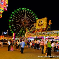 Ambiente en las atracciones - 17