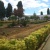 Cementerio de San Juan