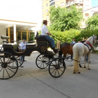 Paseos en caballo.