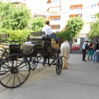 Paseos en caballo.