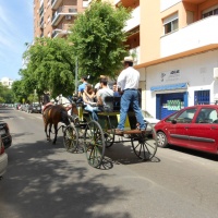 Paseos en caballo.