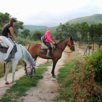 Actividades en la Vera. - 1