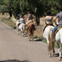 Dlmenes a Caballo VNB 14