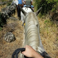 Sierra de Gata VNB 14