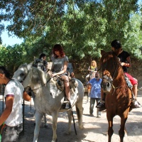 Sierra de Gata VNB 14