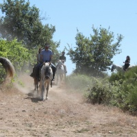 Fin de semana en La Vera. - 5