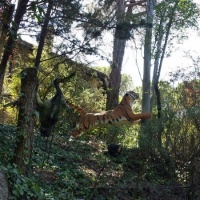 Visita al Parque de Atracciones de Madrid. - 4