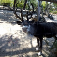 Visita Monte Selvagem. - 9