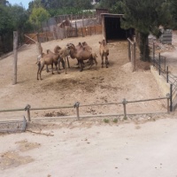 Visita al zoo de Lisboa. - 3