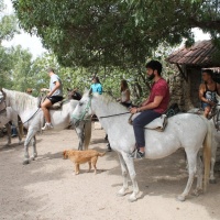 Fin de semana en Sierra de Gata. - 0