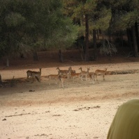 Visita Badoka Park. - 3