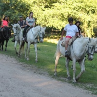 Fin de semana en el Valle del Jerte. - 9