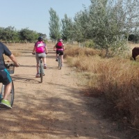 Ruta cicloturista con alforjas. - 15