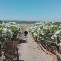 Ruta cicloturista con alforjas. - 17