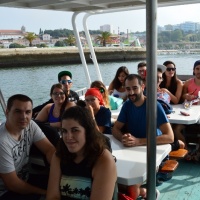 Paseo con delfines. Estuario do Sado. - 0