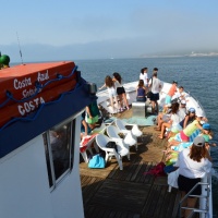 Paseo con delfines. Estuario do Sado. - 14