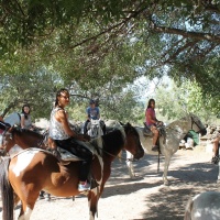 Fin de semana en Sierra de Gata. - 8