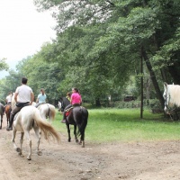 Fin de semana en el Valle del Jerte. - 1