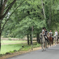 Fin de semana en el Valle del Jerte. - 12