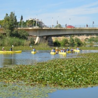 Guadianaventura. - 1