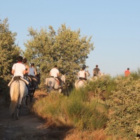 Fin de semana en la Vera. - 5