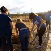 Rutas a caballo. - 4