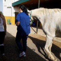 Rutas a caballo. - 6