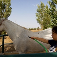 Rutas a caballo. - 10